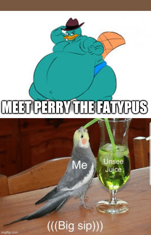 Unsee juice |  MEET PERRY THE FATYPUS | image tagged in unsee juice | made w/ Imgflip meme maker