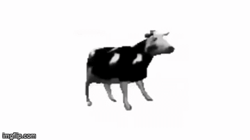 Dancing Polish Cow - Imgflip