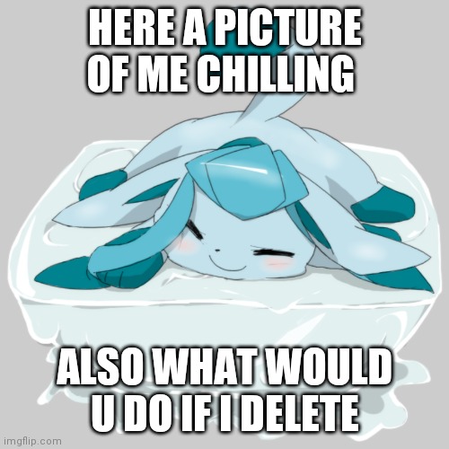 Glaceon ice cube | HERE A PICTURE OF ME CHILLING; ALSO WHAT WOULD U DO IF I DELETE | image tagged in glaceon ice cube | made w/ Imgflip meme maker