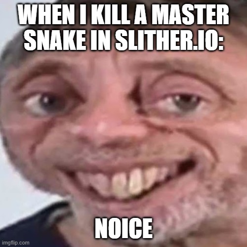 Master Snake Noice Meme | WHEN I KILL A MASTER SNAKE IN SLITHER.IO:; NOICE | image tagged in noice,memes | made w/ Imgflip meme maker