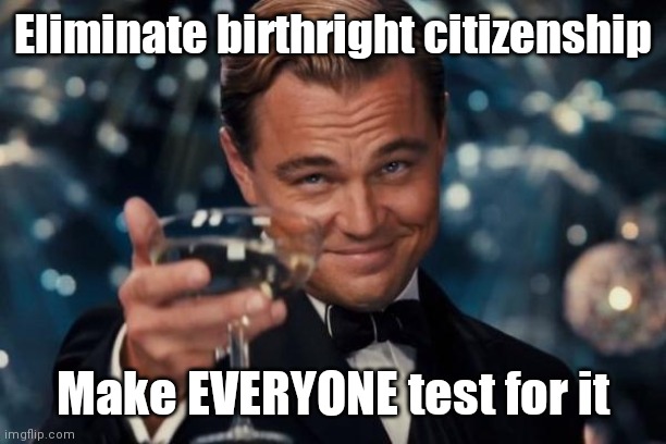 Leonardo Dicaprio Cheers | Eliminate birthright citizenship; Make EVERYONE test for it | image tagged in memes,leonardo dicaprio cheers | made w/ Imgflip meme maker