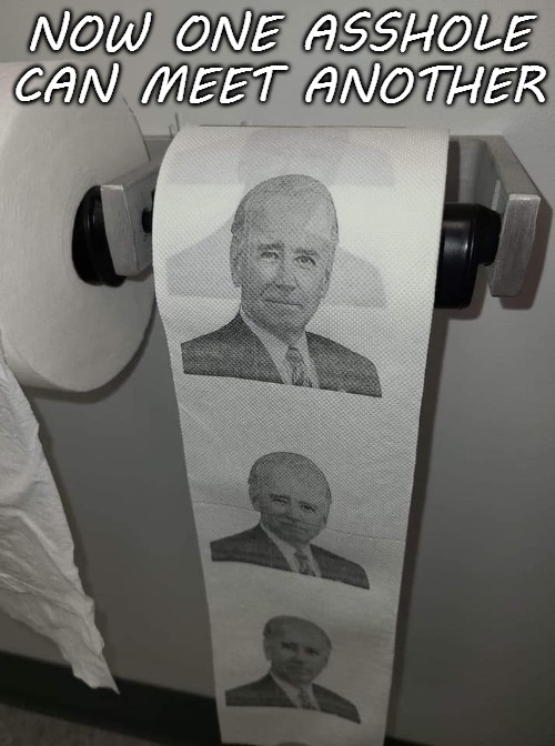ass | NOW ONE ASSHOLE CAN MEET ANOTHER | image tagged in biden,toilet paper | made w/ Imgflip meme maker
