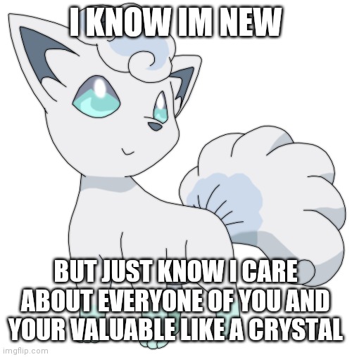 Just remember this | I KNOW IM NEW; BUT JUST KNOW I CARE ABOUT EVERYONE OF YOU AND YOUR VALUABLE LIKE A CRYSTAL | image tagged in motivation,wholesome | made w/ Imgflip meme maker