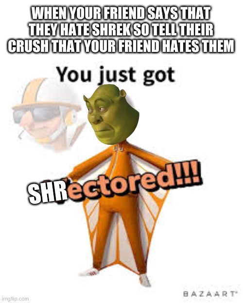 You just got Vectored |  WHEN YOUR FRIEND SAYS THAT THEY HATE SHREK SO TELL THEIR CRUSH THAT YOUR FRIEND HATES THEM; SHR | image tagged in you just got vectored | made w/ Imgflip meme maker