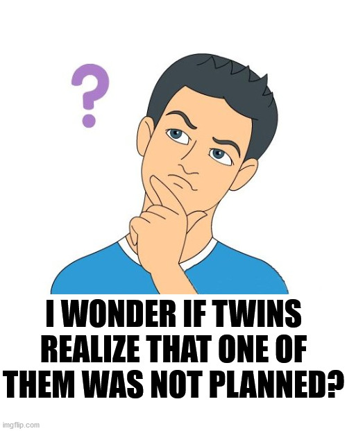 Who plans that? | I WONDER IF TWINS REALIZE THAT ONE OF THEM WAS NOT PLANNED? | image tagged in thinking man,wonder twins,plans | made w/ Imgflip meme maker