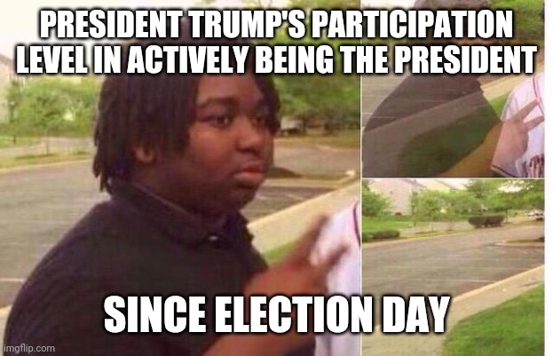 Regardless of how things go, it's never appropriate to disengage from your responsibilities. | PRESIDENT TRUMP'S PARTICIPATION LEVEL IN ACTIVELY BEING THE PRESIDENT; SINCE ELECTION DAY | image tagged in president trump,election 2020,election,responsibility,president,government | made w/ Imgflip meme maker
