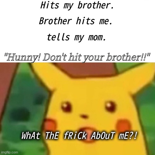 Like dogs and cats. | Hits my brother. Brother hits me. tells my mom. "Hunny! Don't hit your brother!!"; WhAt ThE fRiCk AbOuT mE?! | image tagged in memes,big sister,sisters and brothers | made w/ Imgflip meme maker