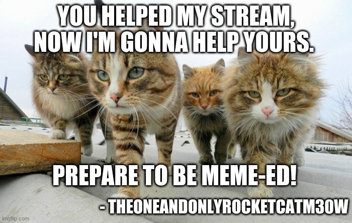 └(^w^)┘ | YOU HELPED MY STREAM, NOW I'M GONNA HELP YOURS. PREPARE TO BE MEME-ED! - THEONEANDONLYROCKETCATM30W | image tagged in cat gang | made w/ Imgflip meme maker