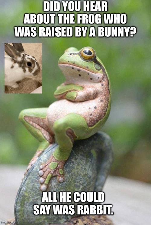Frogs say Ribbit | DID YOU HEAR ABOUT THE FROG WHO WAS RAISED BY A BUNNY? ALL HE COULD SAY WAS RABBIT. | image tagged in frog | made w/ Imgflip meme maker