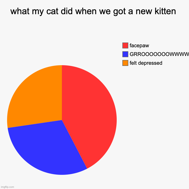 My damn cat 5 | what my cat did when we got a new kitten | felt depressed, GRROOOOOOOWWWWWWWWWLWLLLLWLWLWLWL, facepaw | image tagged in charts,pie charts | made w/ Imgflip chart maker