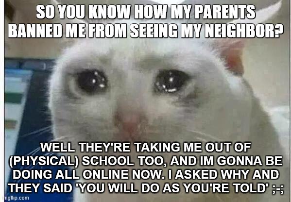 ;-; | SO YOU KNOW HOW MY PARENTS BANNED ME FROM SEEING MY NEIGHBOR? WELL THEY'RE TAKING ME OUT OF (PHYSICAL) SCHOOL TOO, AND IM GONNA BE DOING ALL ONLINE NOW. I ASKED WHY AND THEY SAID 'YOU WILL DO AS YOU'RE TOLD' ;-; | image tagged in crying cat | made w/ Imgflip meme maker