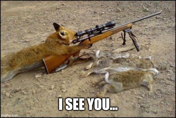 Buuud dump | I SEE YOU... | image tagged in fox with rifle | made w/ Imgflip meme maker