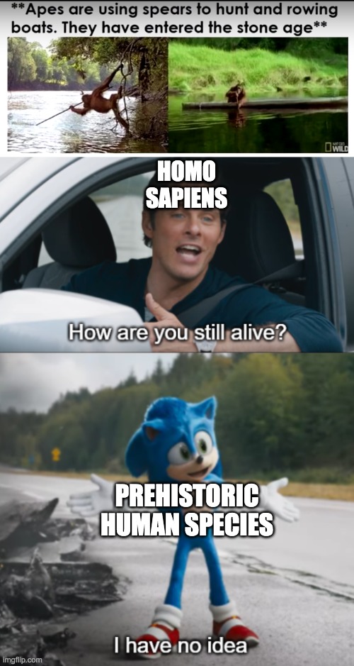 HOMO SAPIENS; PREHISTORIC HUMAN SPECIES | image tagged in sonic how are you still alive | made w/ Imgflip meme maker