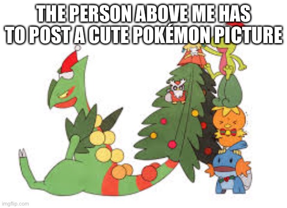 Christmas Sceptile | THE PERSON ABOVE ME HAS TO POST A CUTE POKÉMON PICTURE | image tagged in christmas sceptile | made w/ Imgflip meme maker