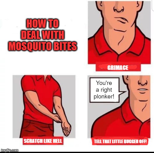 Signs the author had a stroke | HOW TO DEAL WITH MOSQUITO BITES; GRIMACE; You're a right plonker! SCRATCH LIKE HELL; TELL THAT LITTLE BUGGER OFF! | image tagged in how to recognize a stroke,memes,mosquito,bite,scratch,insult | made w/ Imgflip meme maker