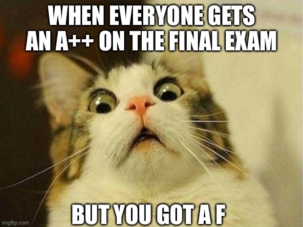 F | WHEN EVERYONE GETS AN A++ ON THE FINAL EXAM; BUT YOU GOT A F | image tagged in memes,scared cat | made w/ Imgflip meme maker
