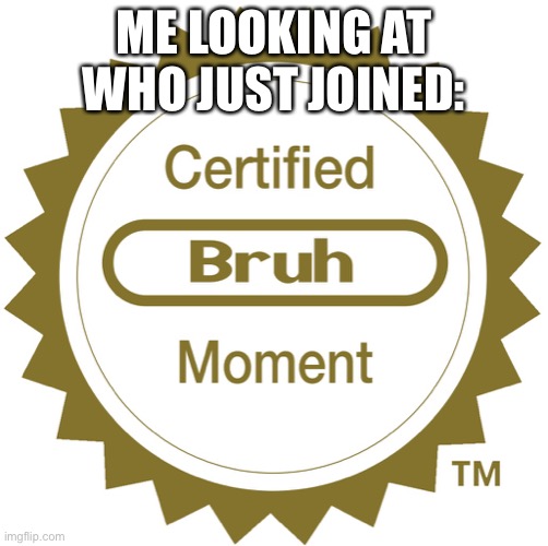 WHAT... | ME LOOKING AT WHO JUST JOINED: | image tagged in certified bruh moment,memes,wtf,imgflip,usernames,streams | made w/ Imgflip meme maker