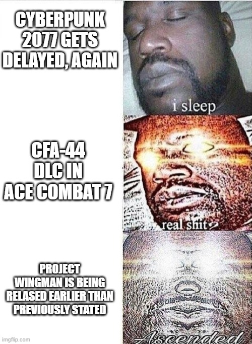 i sleep, REAL SHIT ,ASCENDED | CYBERPUNK 2077 GETS DELAYED, AGAIN; CFA-44 DLC IN ACE COMBAT 7; PROJECT WINGMAN IS BEING RELASED EARLIER THAN PREVIOUSLY STATED | image tagged in i sleep real shit ascended | made w/ Imgflip meme maker