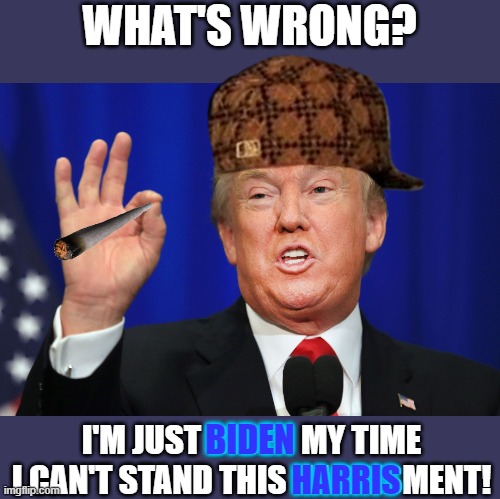 Scumbag Don | WHAT'S WRONG? BIDEN; I'M JUST BIDEN MY TIME
I CAN'T STAND THIS HARRISMENT! HARRIS | image tagged in the best trump,memes,biden,harris,scumbag hat,joint | made w/ Imgflip meme maker