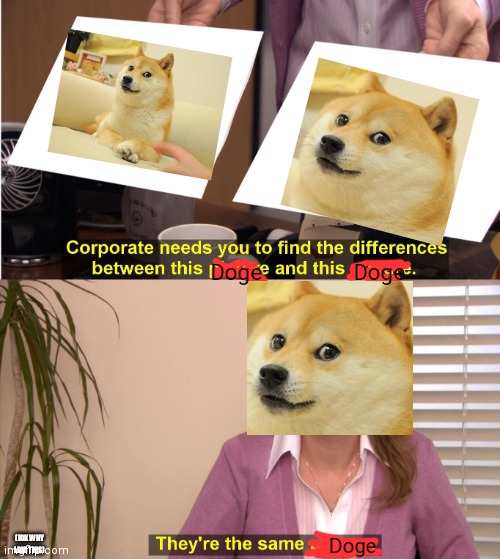 They're The Same Picture Meme | Doge; Doge; Doge; (IDK WHY I DID THIS) | image tagged in memes,they're the same picture | made w/ Imgflip meme maker