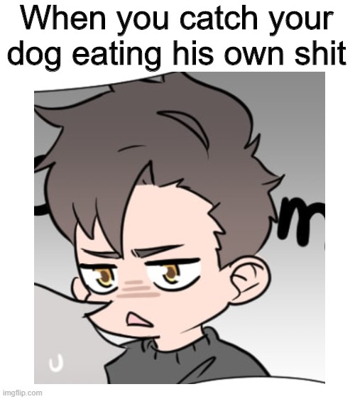 I made this meme from one of my fav webtoon | When you catch your dog eating his own shit | image tagged in blank white template | made w/ Imgflip meme maker