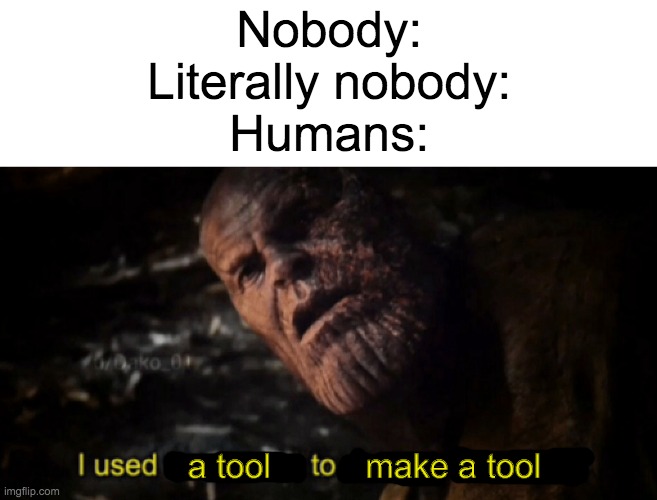 I used the stones to destroy the stones | Nobody:
Literally nobody:
Humans:; a tool          make a tool | image tagged in i used the stones to destroy the stones | made w/ Imgflip meme maker