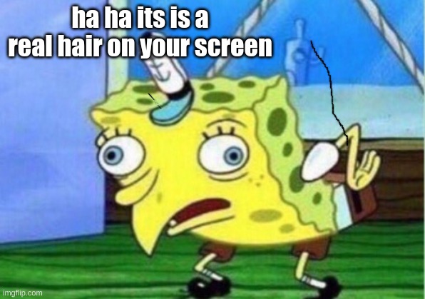 oof | ha ha its is a real hair on your screen | image tagged in memes,mocking spongebob | made w/ Imgflip meme maker