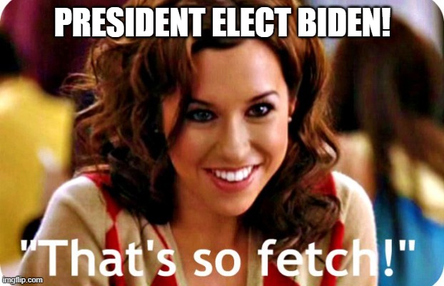 That is so fetch | PRESIDENT ELECT BIDEN! | image tagged in that is so fetch | made w/ Imgflip meme maker