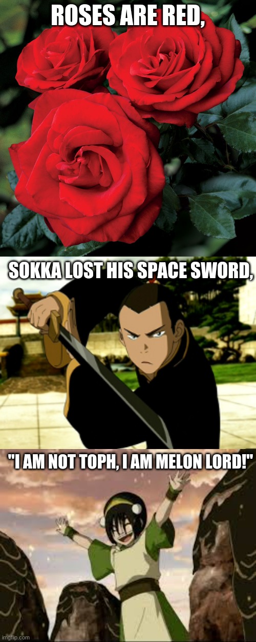 I am not Toph, I am Melon Lord! | ROSES ARE RED, SOKKA LOST HIS SPACE SWORD, "I AM NOT TOPH, I AM MELON LORD!" | image tagged in avatar the last airbender | made w/ Imgflip meme maker