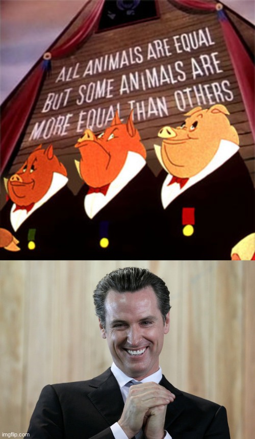 When we he stop? | image tagged in gavin newsom,california,trump | made w/ Imgflip meme maker