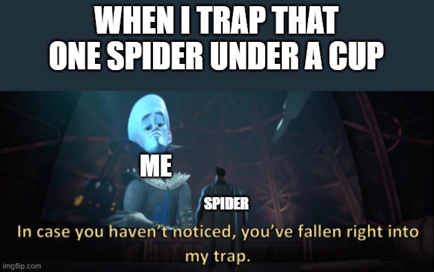 Roses are red, I don't have a beard, don't you agree that spiders are weird? | WHEN I TRAP THAT ONE SPIDER UNDER A CUP; ME; SPIDER | image tagged in megamind trap template,spider | made w/ Imgflip meme maker