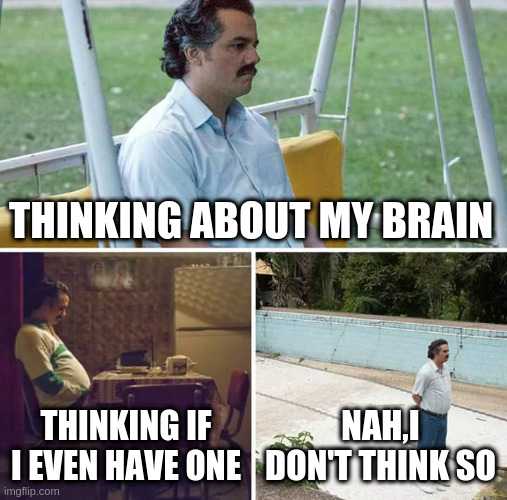 Sad Pablo Escobar | THINKING ABOUT MY BRAIN; THINKING IF I EVEN HAVE ONE; NAH,I DON'T THINK SO | image tagged in memes,sad pablo escobar | made w/ Imgflip meme maker