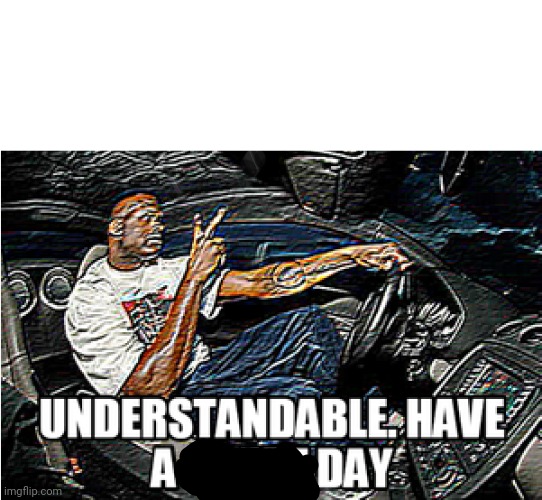 UNDERSTANDABLE, HAVE A GREAT DAY | image tagged in understandable have a great day | made w/ Imgflip meme maker