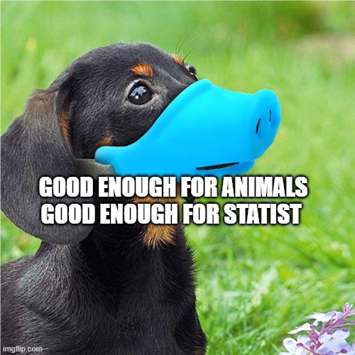 Mask Vs Muzzle | GOOD ENOUGH FOR ANIMALS GOOD ENOUGH FOR STATIST | image tagged in mask vs muzzle | made w/ Imgflip meme maker