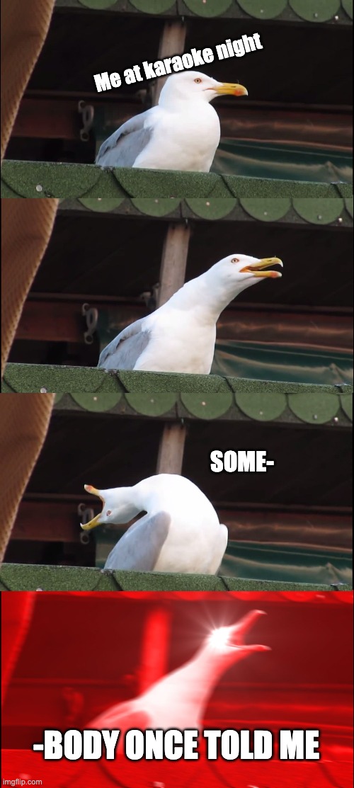 The world was gonna roll me | Me at karaoke night; SOME-; -BODY ONCE TOLD ME | image tagged in memes,inhaling seagull | made w/ Imgflip meme maker