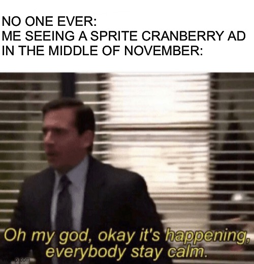 Please not so soon! | NO ONE EVER:
ME SEEING A SPRITE CRANBERRY AD IN THE MIDDLE OF NOVEMBER: | image tagged in oh my god okay it's happening everybody stay calm,no no no no,memes | made w/ Imgflip meme maker