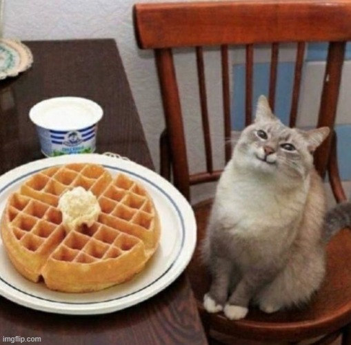 Kitty happy with their waffle | image tagged in kitty happy with their waffle | made w/ Imgflip meme maker