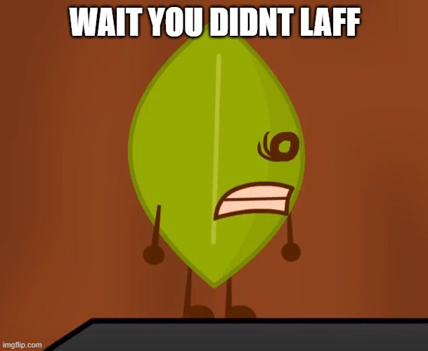 BFDI "Wat" Face | WAIT YOU DIDNT LAFF | image tagged in bfdi wat face | made w/ Imgflip meme maker