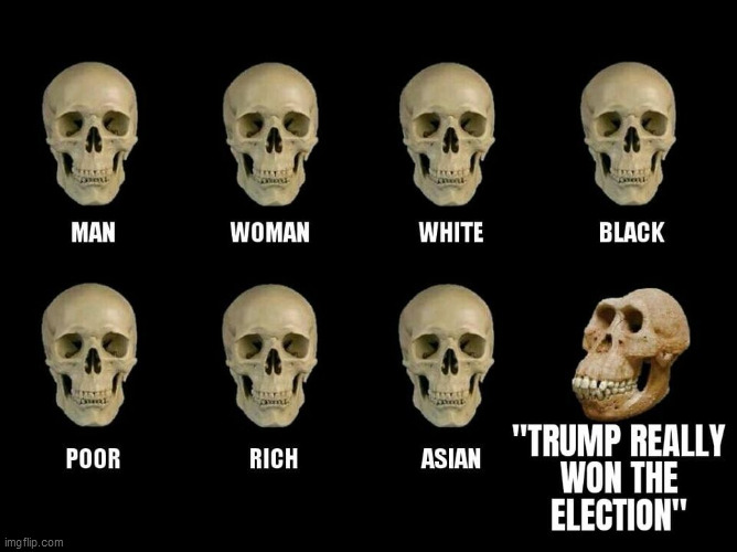 Truth lol | image tagged in republicans,donald trump,trump supporters,election 2020 | made w/ Imgflip meme maker