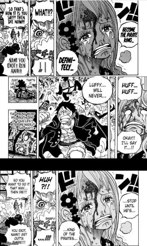 I edited the anime's version of Nami saying Luffy will be king to better  match the manga : r/OnePiece