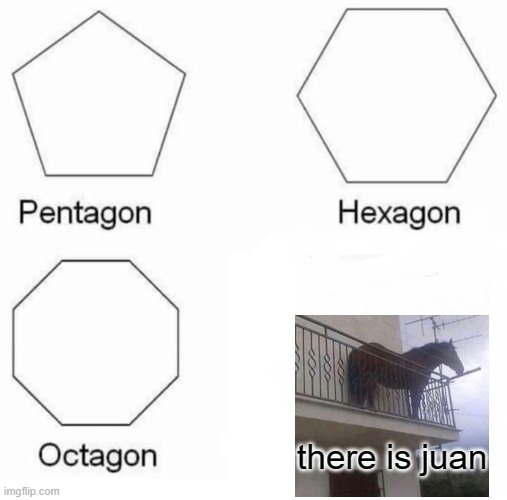 there is juan | image tagged in memes,pentagon hexagon octagon | made w/ Imgflip meme maker