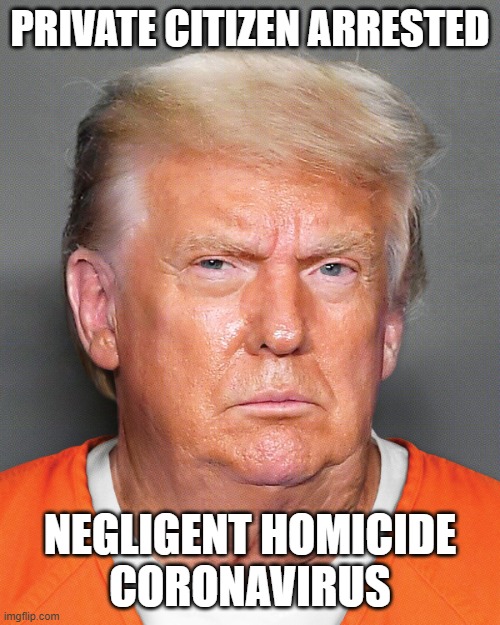Private Citizen Donald Trump Arrested for Negligent Homicide#Coronavirus #COVID19 | PRIVATE CITIZEN ARRESTED; NEGLIGENT HOMICIDE
CORONAVIRUS | image tagged in trump mugshot,trump,arrested,coronavirus,covid-19,manslaughter | made w/ Imgflip meme maker