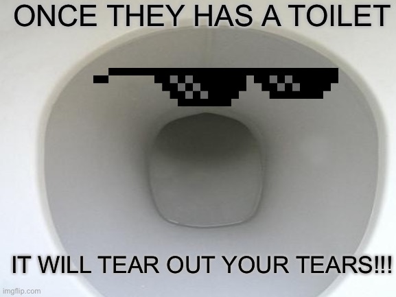 Once they will tear | ONCE THEY HAS A TOILET; IT WILL TEAR OUT YOUR TEARS!!! | image tagged in toilet | made w/ Imgflip meme maker