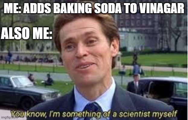 ME: ADDS BAKING SODA TO VINAGAR; ALSO ME: | image tagged in science,vingar | made w/ Imgflip meme maker