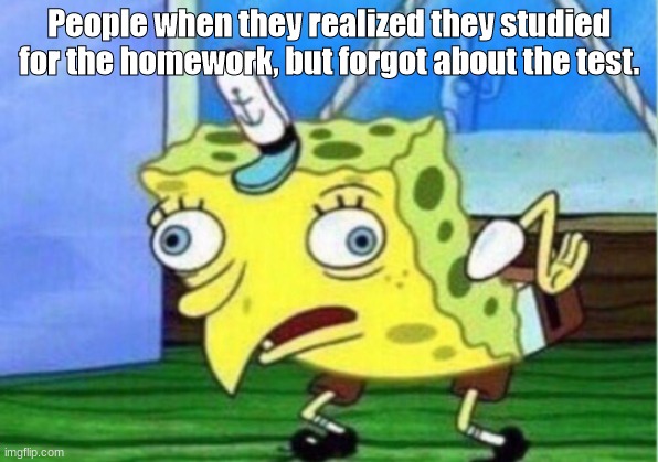 Mocking Spongebob | People when they realized they studied for the homework, but forgot about the test. | image tagged in memes,mocking spongebob | made w/ Imgflip meme maker