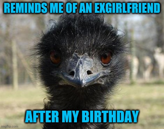 Bad News Emu | REMINDS ME OF AN EXGIRLFRIEND AFTER MY BIRTHDAY | image tagged in bad news emu | made w/ Imgflip meme maker