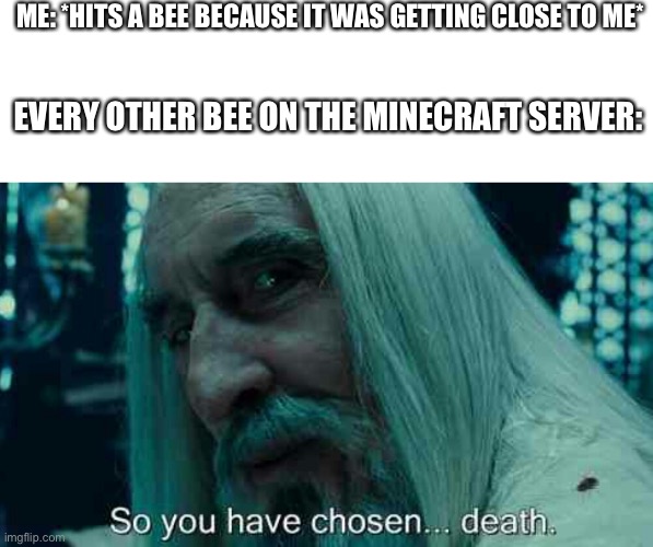 Oof | ME: *HITS A BEE BECAUSE IT WAS GETTING CLOSE TO ME* EVERY OTHER BEE ON THE MINECRAFT SERVER: | image tagged in so you have chosen death | made w/ Imgflip meme maker