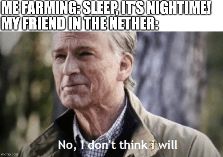 No, I don't think I will | ME FARMING: SLEEP, IT'S NIGHTIME! MY FRIEND IN THE NETHER: | image tagged in no i dont think i will,minecraft | made w/ Imgflip meme maker