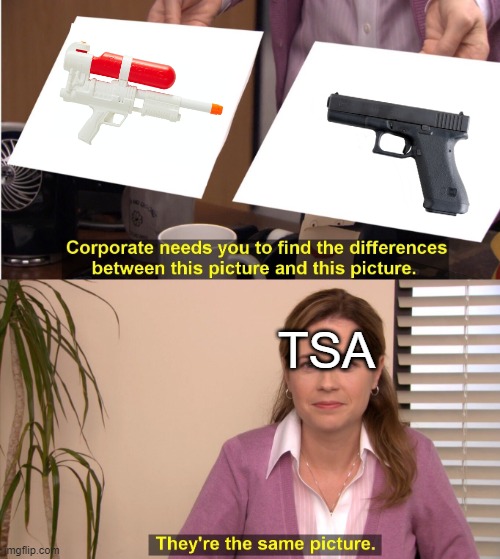 They're The Same Picture Meme | TSA | image tagged in memes,they're the same picture,tsa | made w/ Imgflip meme maker