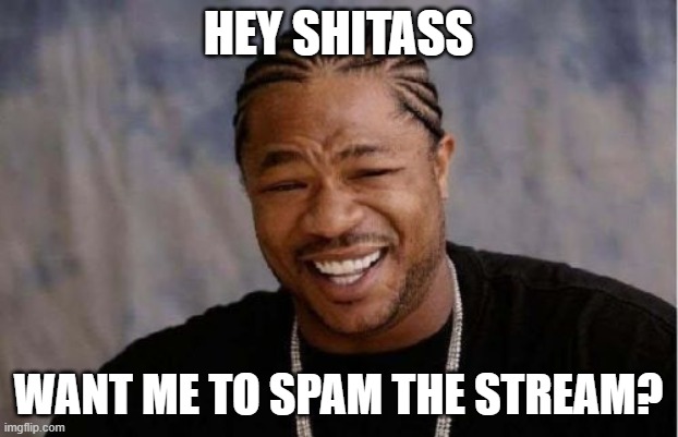 Yo Dawg Heard You | HEY SHITASS; WANT ME TO SPAM THE STREAM? | image tagged in memes,yo dawg heard you | made w/ Imgflip meme maker